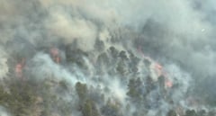 El incendio en Murcia moviliza a la UME y a más de 250 efectivos
