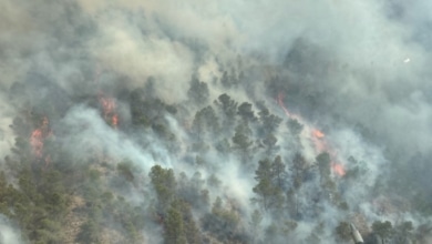 El incendio en Murcia moviliza a la UME y a más de 250 efectivos