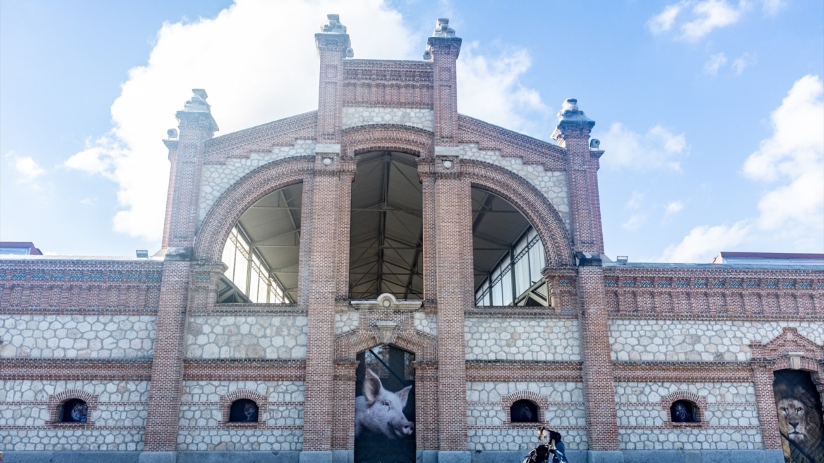 Exposición fotográfica ‘The Animals’ de Estela de Castro, en Matadero de Madrid.
