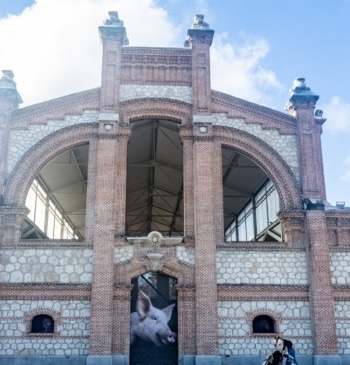 El Ayuntamiento de Madrid transforma Matadero y CentroCentro en refugios climáticos