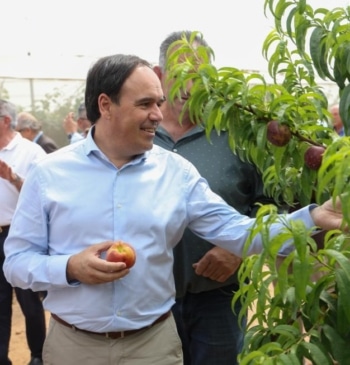 Pérez Llorca lanza la mayor línea de ayudas agrarias de su historia [...]