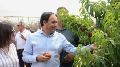 Pérez Llorca lanza la mayor línea de ayudas agrarias de su historia con 50 millones para modernizar explotaciones