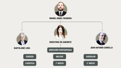 El organigrama que Leire Díez dibujó para su 'nueva' SEPI
