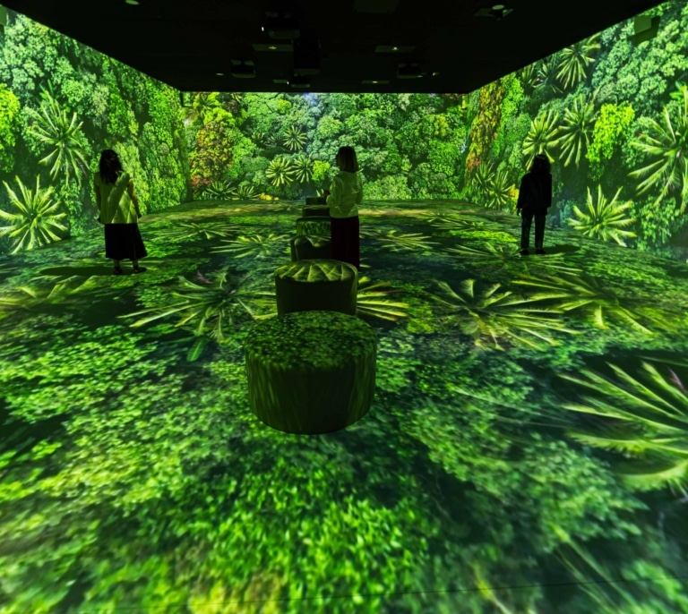 Una oda inmersiva para reconectar con el planeta: CaixaForum y National Geographic traen la naturaleza al centro de Madrid