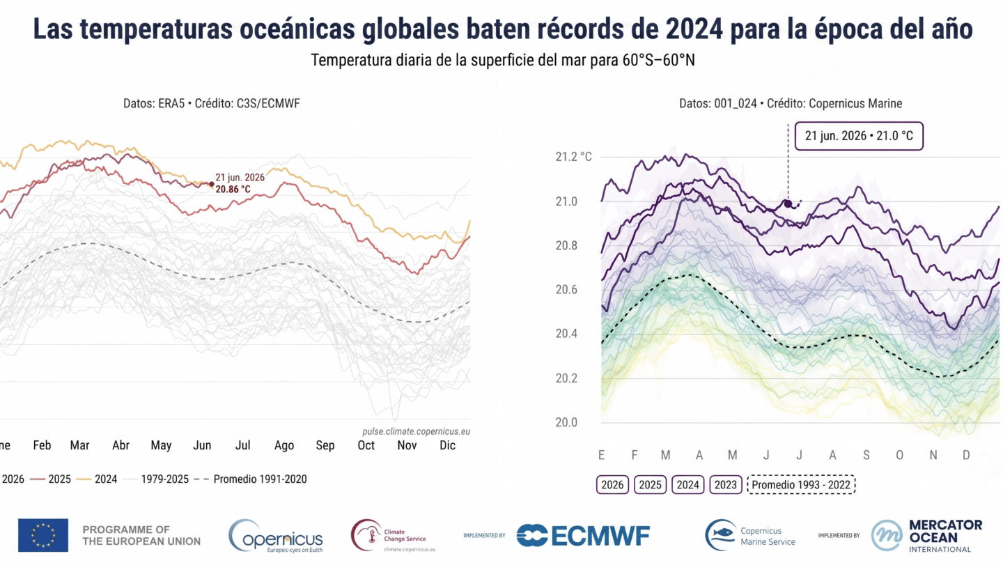 El mar supera su récord de calor en junio a la espera de un mayor impacto del "super El Niño': “Nos adentramos en territorio inexplorado”