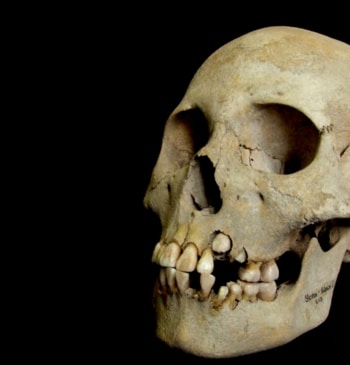 Zoonótica y mortal: restos de ADN demuestran que la primera plaga de [...]