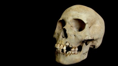 Zoonótica y mortal: restos de ADN demuestran que la primera plaga de peste de la historia tuvo lugar hace 5.500 años
