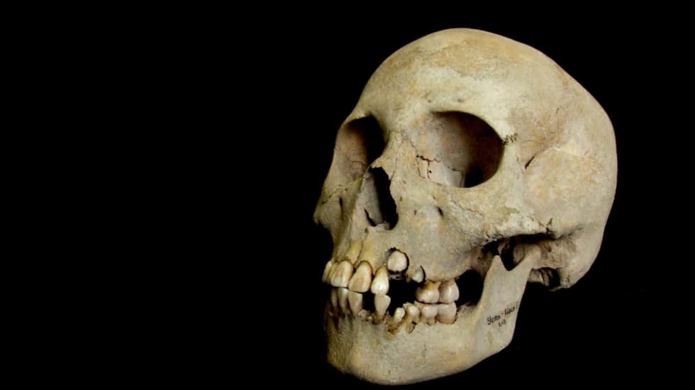 Zoonótica y mortal: restos de ADN demuestran que la primera plaga de peste de la historia tuvo lugar hace 5.500 años