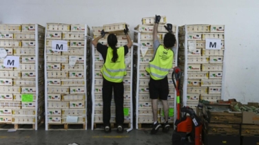 Más de 13 millones de euros recaudados: el éxito de la campaña que planta cara a la precariedad alimentaria