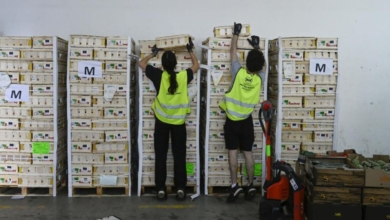 Más de 13 millones de euros recaudados: el éxito de la campaña que planta cara a la precariedad alimentaria