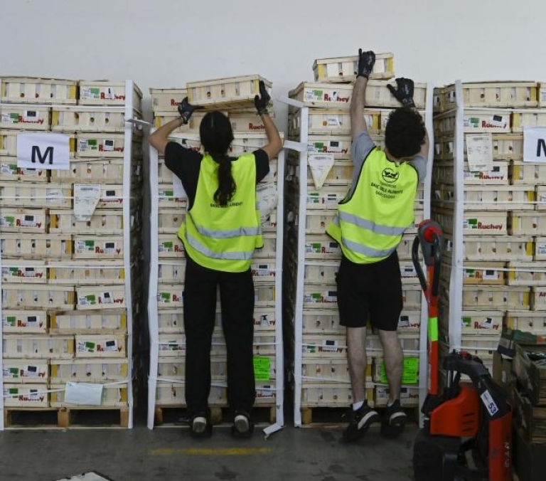 Más de 13 millones de euros recaudados: el éxito de la campaña que planta cara a la precariedad alimentaria