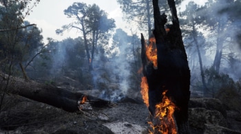 Días de infierno y cenizas sin control: "No ha quedado nada"
