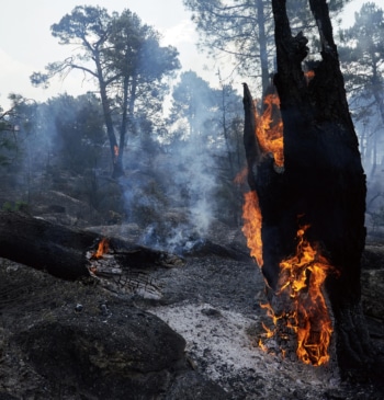 Cuatro días de infierno y cenizas sin control: "No ha quedado nada"
