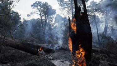 Los equipos de extinción temen la reactivación de un foco y que el fuego avance por la Sierra de Madrid