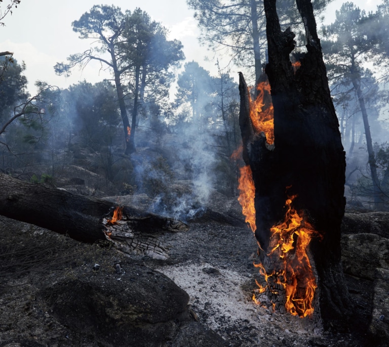 AEMET advierte de un riesgo de incendios "muy alto o extremo" en casi toda España por un nuevo repunte del calor