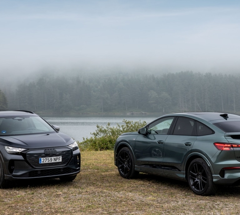 Audi Q4 e-tron: Punta de lanza