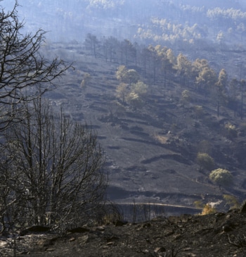 Los incendios dan una tregua: Toledo rebaja el nivel de emergencia y [...]