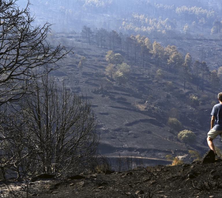 Los incendios dan una tregua: Toledo rebaja el nivel de emergencia y Madrid amplía la desescalada