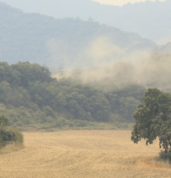 El incendio de Orés mantiene varios frentes activos tras arrasar unas 14.000 [...]