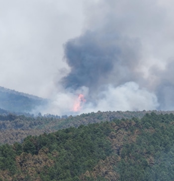 Vox asegura que el alcalde investigado por el incendio de Guadalajara no [...]