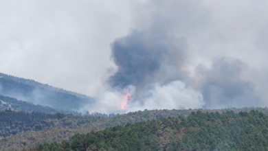 Vox asegura que el alcalde investigado por el incendio de Guadalajara no estaba donde se inició