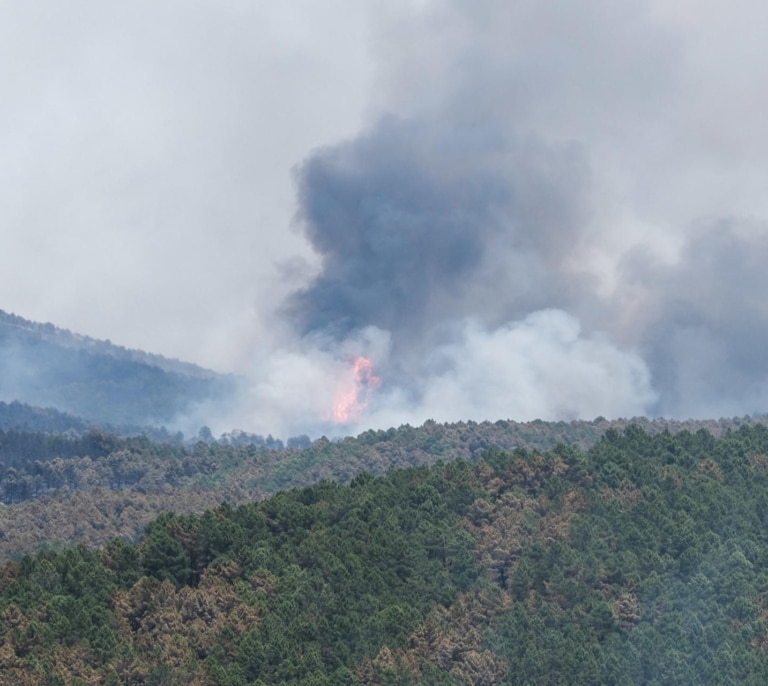 Vox asegura que el alcalde investigado por el incendio de Guadalajara no estaba donde se inició