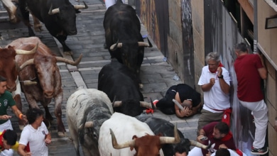 Un corneado por un toro de Cebada Gago en el segundo encierro de San Fermín