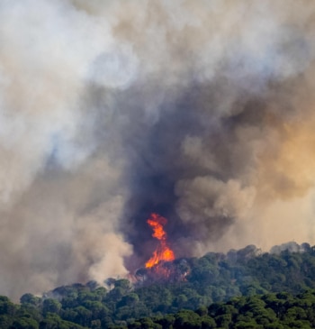 Un incendio avivado por la tramontana obliga a confinamientos en varios pueblos [...]