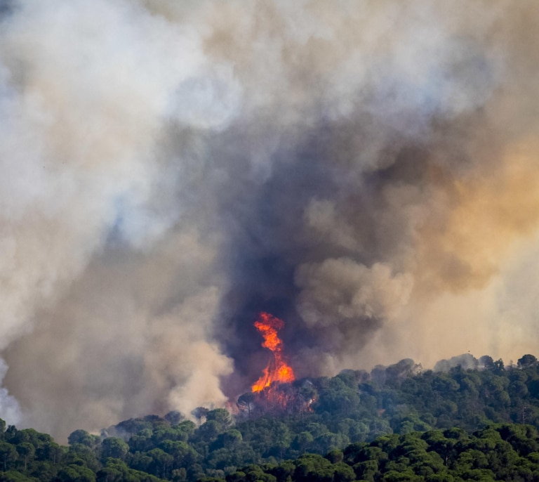 Un incendio avivado por la tramontana obliga a confinamientos en varios pueblos de la Costa Brava