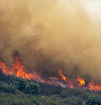 El incendio de Guadalajara amenaza a varios municipios de Soria