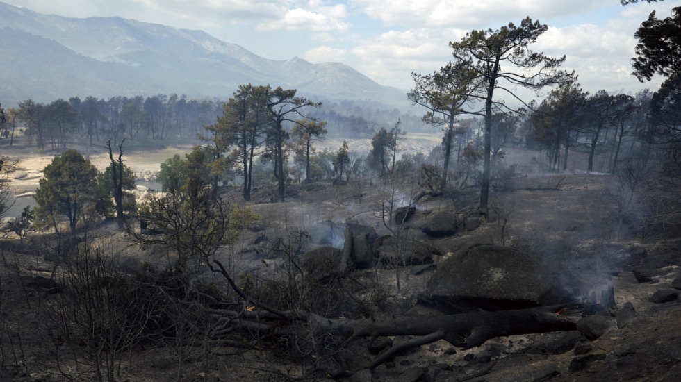 El fuego ha arrasado ya 152.000 hectáreas este año, seis veces más que en todo 2025