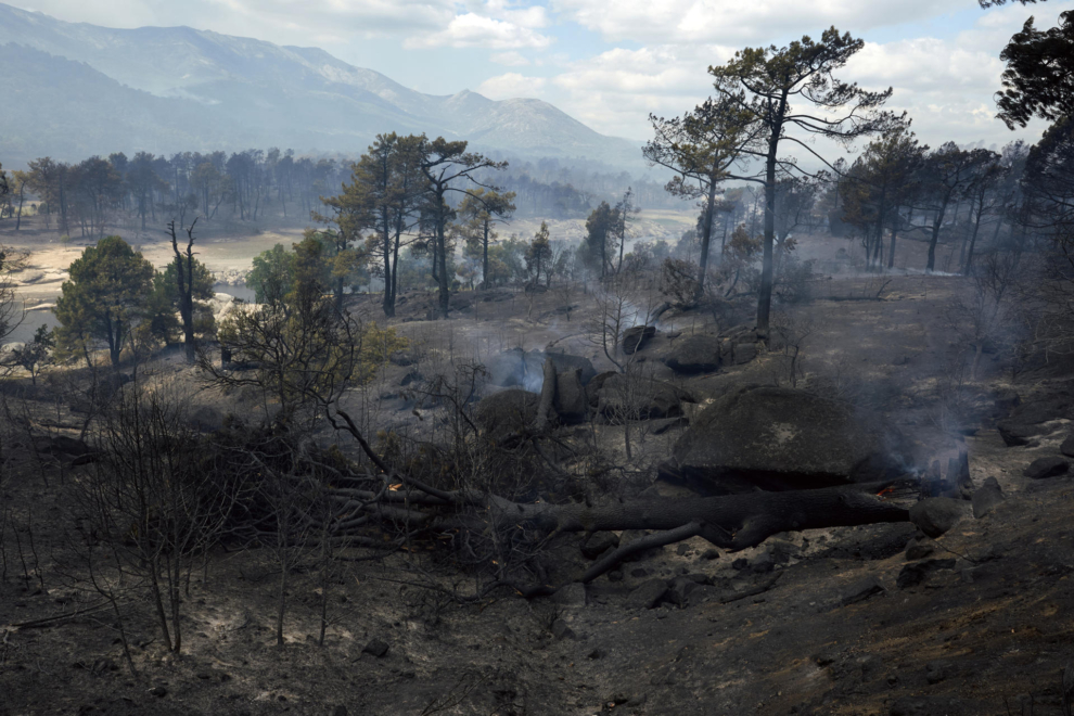Las inmediaciones del pantano de Burguillo (Ávila), arrasadas por el incendio
