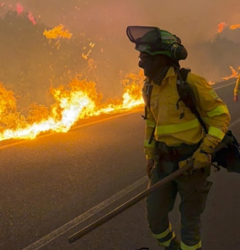 Los Gallardos evidencian la falta de preparación ciudadana frente a los incendios