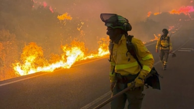 Los Gallardos evidencian la falta de preparación ciudadana frente a los incendios