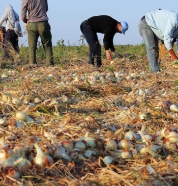 La Junta de Castilla y León amplía a nuevas comarcas la flexibilización [...]