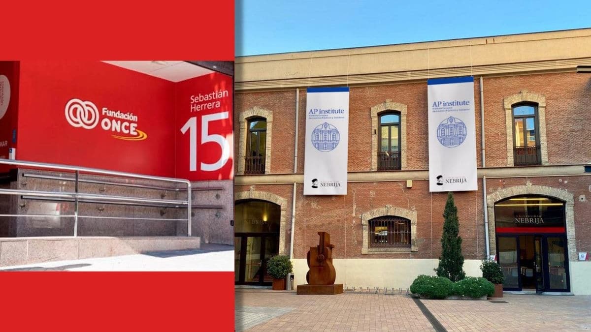 Ap institute y Fundación ONCE impulsan la formación inclusiva en asuntos públicos