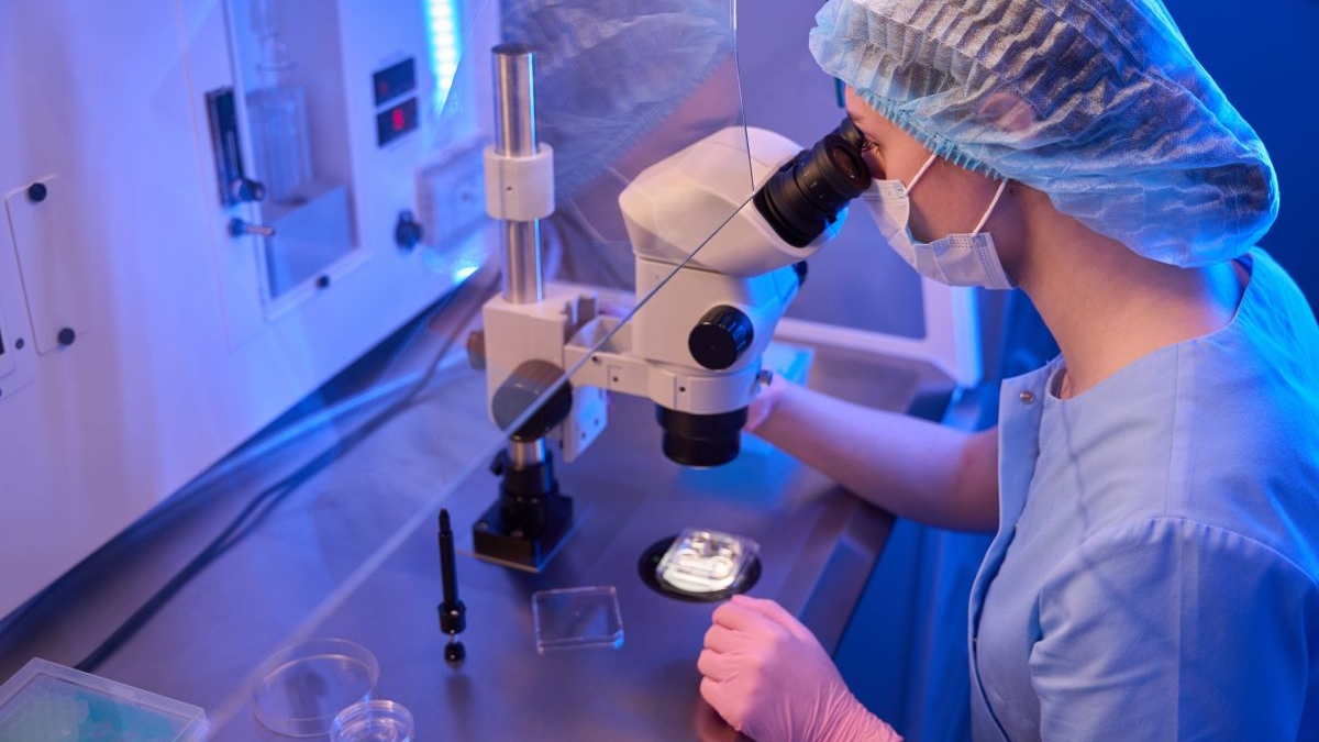 El uso de antioxidantes puede mejorar ovocitos inmaduros en tratamientos de fecundación ‘in vitro’