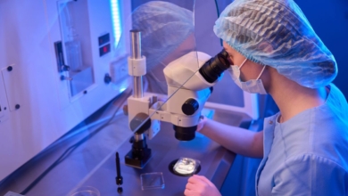 El uso de antioxidantes puede mejorar ovocitos inmaduros en tratamientos de fecundación ‘in vitro’