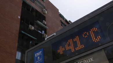 La AEMET confirma la llegada de una nueva ola de calor a partir del martes con máximas de hasta 44 grados