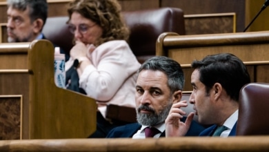 Vox recurrirá en el Supremo la decisión de la Junta Electoral, que se declaró "incompetente" sobre la 'ley de nietos'