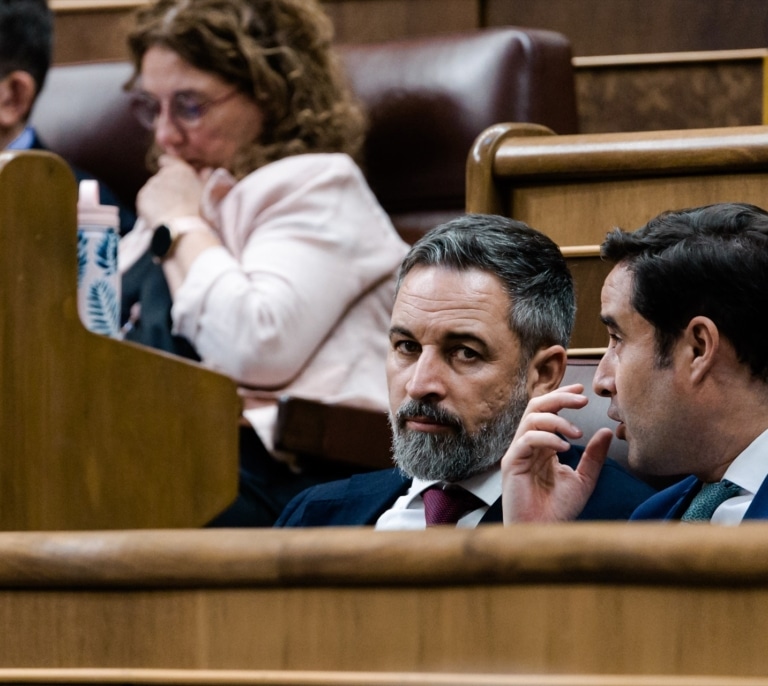 Vox recurrirá en el Supremo la decisión de la Junta Electoral, que se declaró "incompetente" sobre la 'ley de nietos'