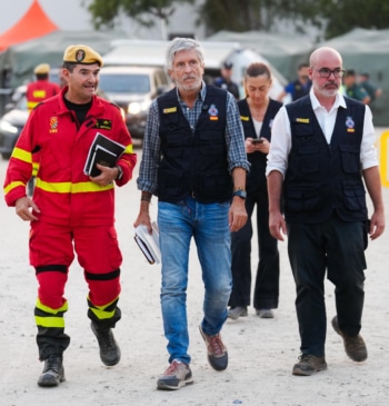El Gobierno da por "técnicamente estabilizados" los incendios de Madrid y Avila