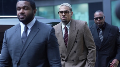 La espantada más cara de la historia: el perro de Chris Brown atacó a su empleada doméstica, él la dejó tirada y ahora tendrá que pagarle 13 millones de dólares