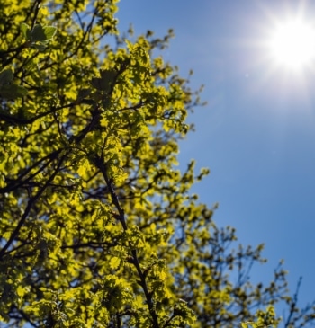 El fin de semana traerá un descenso notable de las temperaturas antes [...]