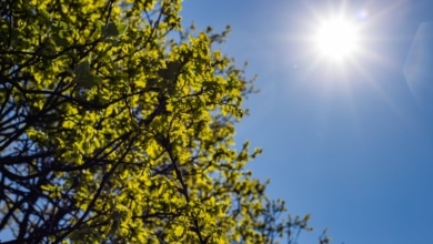 El fin de semana traerá un descenso notable de las temperaturas antes de un nuevo repunte del calor