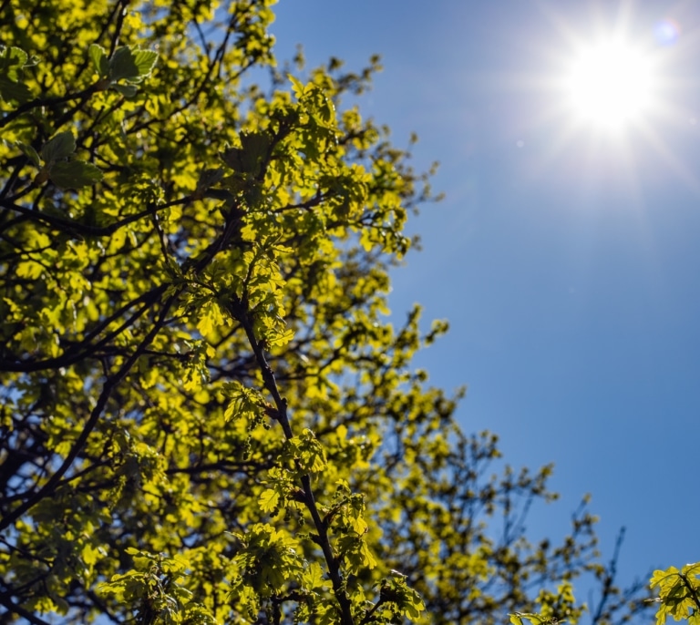 El fin de semana traerá un descenso notable de las temperaturas antes de un nuevo repunte del calor