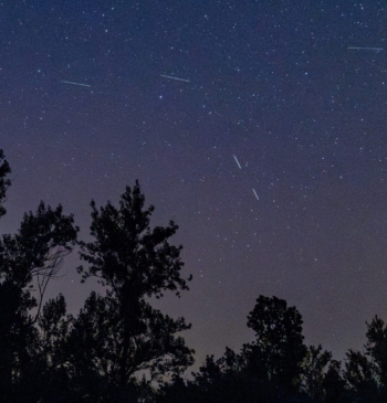 Perseidas 2026: cuándo y cómo ver la lluvia de estrellas