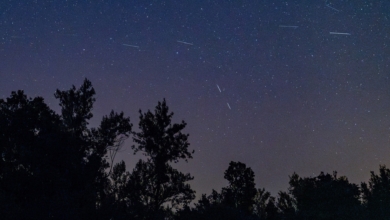 Lluvia de estrellas Perseidas 2026: cuándo y cómo ver las Lágrimas de San Lorenzo y su coincidencia con el eclipse solar