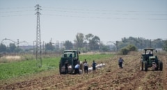 Aragón destina 545.000 euros para impulsar la incorporación de agricultores y ganaderos a los sellos de calidad