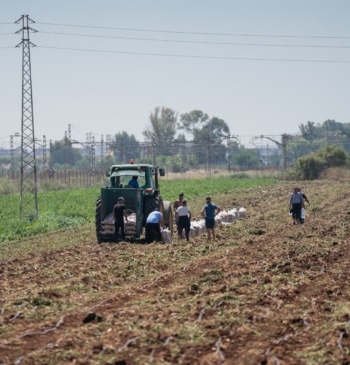 Aragón destina 545.000 euros para impulsar la incorporación de agricultores y ganaderos [...]